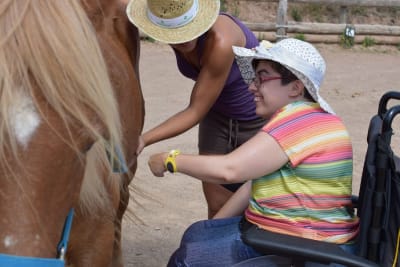 C H Cal Graells Cavalls d’Esport - hipica in Calaf