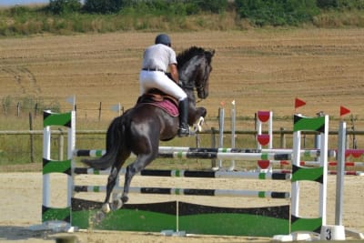 Les Ecuries Des Chênes - Bessis Camille - hipica in Bours