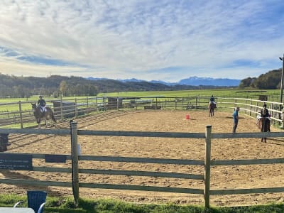 Les Écuries Du Cap - hipica in Boudrac