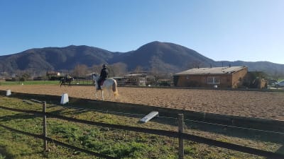 Centre Eqüestre La Vall - hipica in Olot