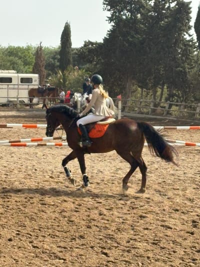 Equestrian Center South - hipica in Arona