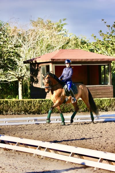 EQUESTRIAN CENTER 2002, S.L. - hipica in Jerez de la Frontera