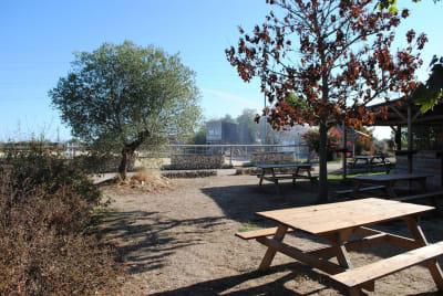 Pony Club De Gouny - hipica in Seysses