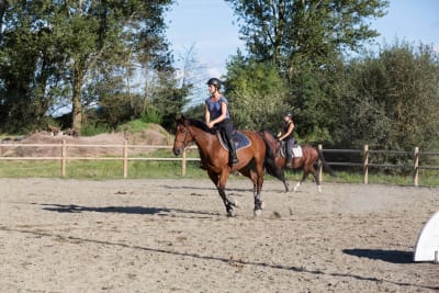 Domaine Equestre de la Louge - hipica in Gratens