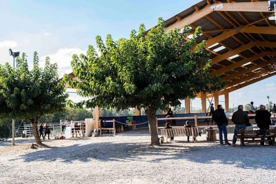 Pony Club De Fenouillet - hipica in Fenouillet