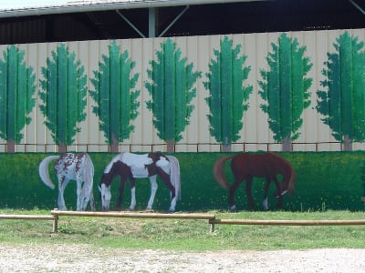 Poney Club la Tuilerie - hipica in Saint-Orens-de-Gameville