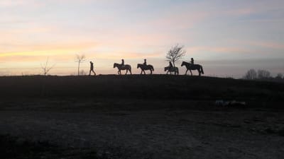 L Ecurie Des As - hipica in Fonsorbes