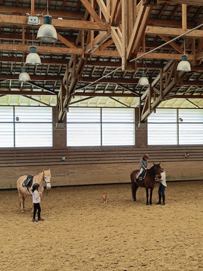 School D'equitation Equizones - hipica in La Bastide-de-Sérou