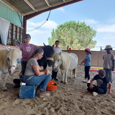A Tous Crins - hipica in Saux-et-Pomarède