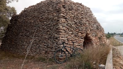 Yeguada Salvan - hipica in Amposta