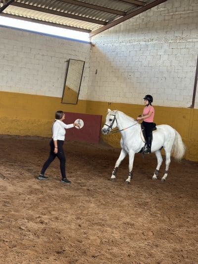 Centro Hípico Hermanos Esteban - hipica in Liria