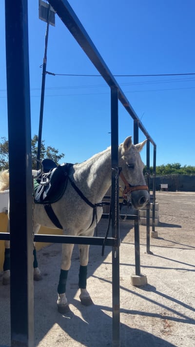 Centro Ecuestre Cristina Robles - hipica 