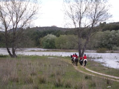 Centro Ecuestre Alcosser - hipica in Alcosser