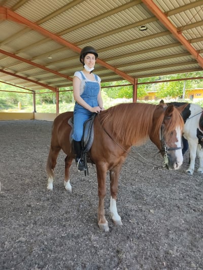 CENTRO HIPICO EL SALADRAR XATIVA PUPILAJE EQUINOTERAPIA - hipica in Llosa de Ranes Xativa