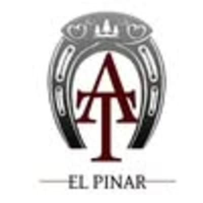 Centro hípico El Pinar - hipica in Picassent