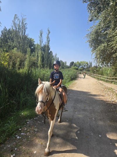 Los Robles, Equestrian centre - hipica in Gandia
