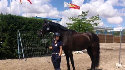 Club Hípico Ekiaventura - hipica in Requena