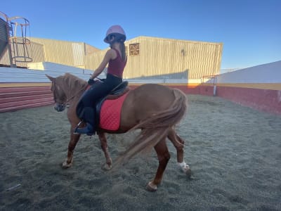 Club hípico Ibañez Subiela - hipica in Benaguasil