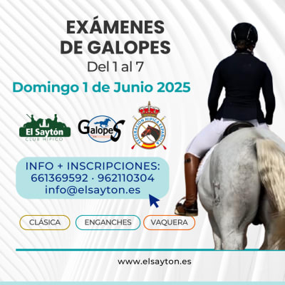 Club Hípico El Saytón - hipica in Enguera