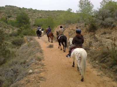 Club Hípico el Desierto - hipica in Asp