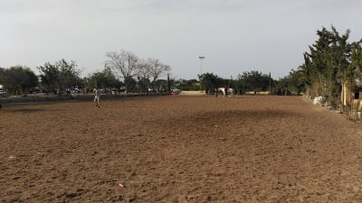 Club Hípico Los Árabes - hipica in La Vallverda