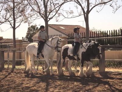Hípica El Corcel Negro - hipica in Chiva