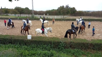 Yeguada Alarcón - hipica in Picassent