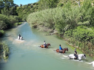 Yeguada La Mariposa - hipica in Riba-roja de Túria