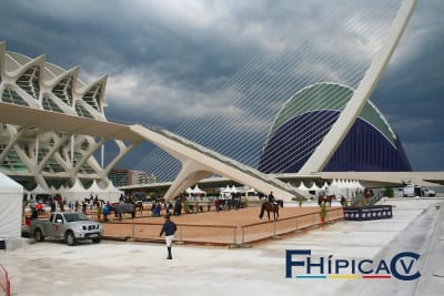 Federacion Hípica Comunidad Valenciana - hipica in Paterna