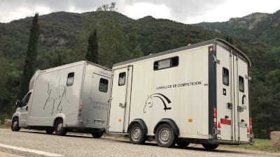 Transporte de caballos y Logística, THS. - hipica in La Pobla de Vallbona