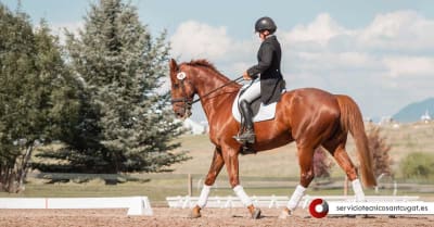 Cal Senyoret - hipica in El Papiol