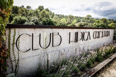 Club D'Hípica De Collserola - hipica in Sant Cugat del Vallès