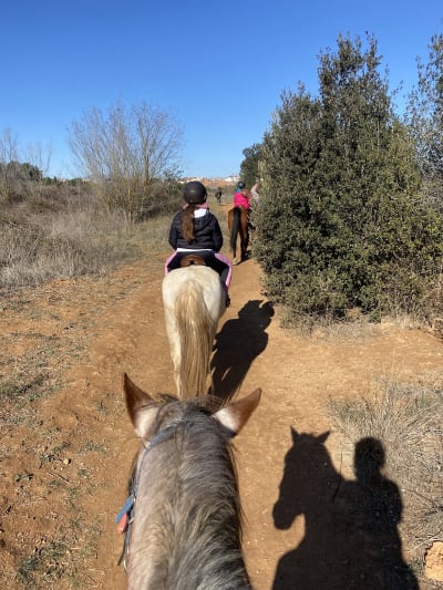 Club Hípica Severino - hipica in Sant Cugat del Vallès