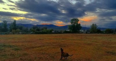 Linde Equestrian - hipica in Gavà