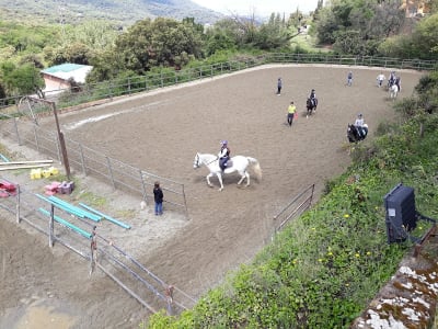 Club Hípic Vallromanes - hipica 