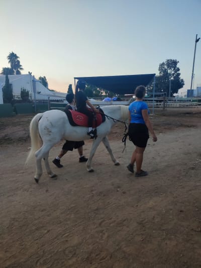Equinoteràpia Delta del Llobregat - hipica 
