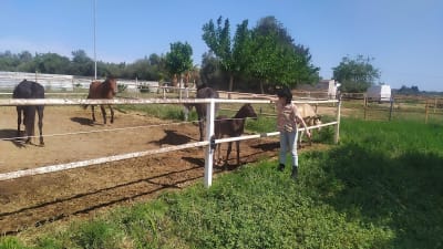 Yeguada Caller - hipica in Vinyols i els Arcs