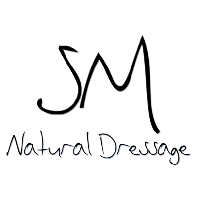 Hípica Sandra Martí - hipica in La Roca del Valles