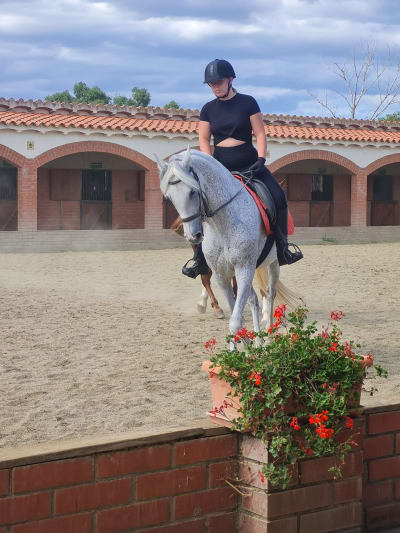 Club hípic "El Cavall i el seu art" - hipica in Castelló d'Empúries