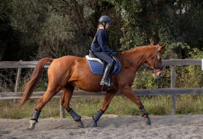 Magna Center - hipica in Calonge