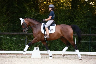 Equidress - hipica in Sant Gregori