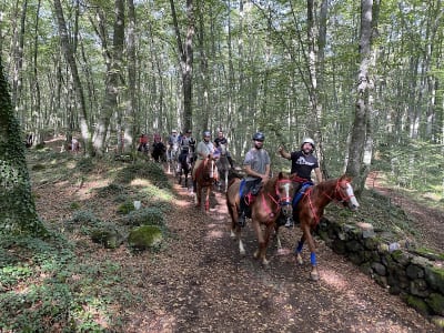 Hipica bonavista - hipica in Olot