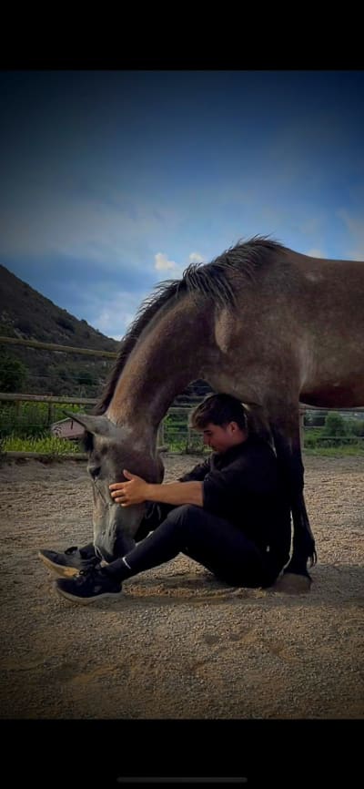 El Cobert de Vilaformiu - hipica in Berga
