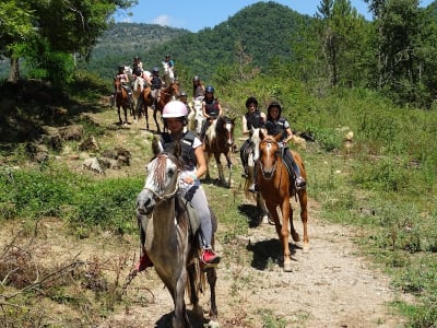 Hípica TRAC (terapies i rutes amb cavalls) - hipica in Camprodon