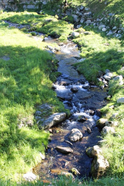 Mas La ILLA Cria Del Caballo Pirenaico Catalan (CPC) - hipica in Llanars