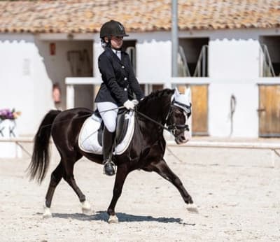 Hípica Pot Empuriabrava - hipica in Empuriabrava