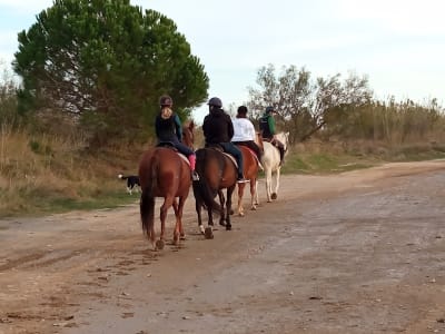 Hípica Arnau - hipica in Empúries