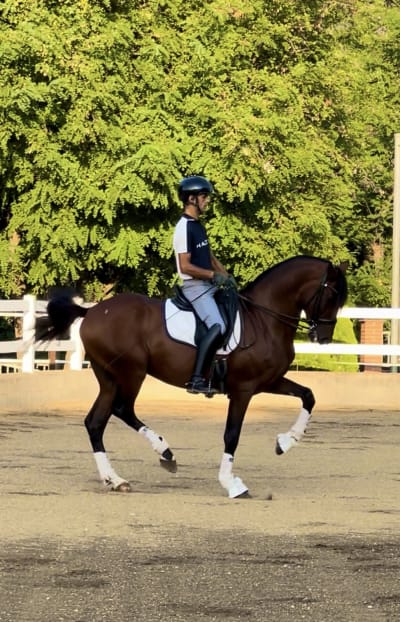 Hipica Don caballo Cavalier Akhrif - hipica in Vilanova del Vallès