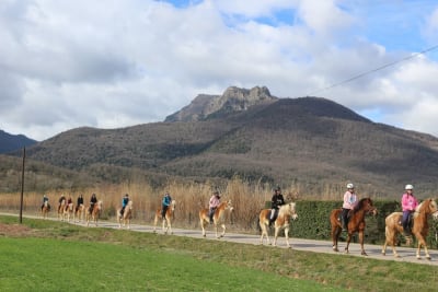 eQuaid - eQuillet - hipica 