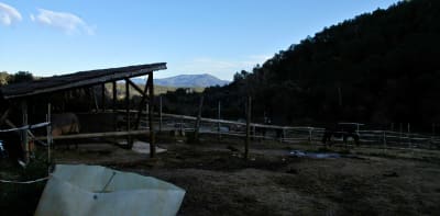 Masia Can Net - hipica in Sant Esteve de Palautordera